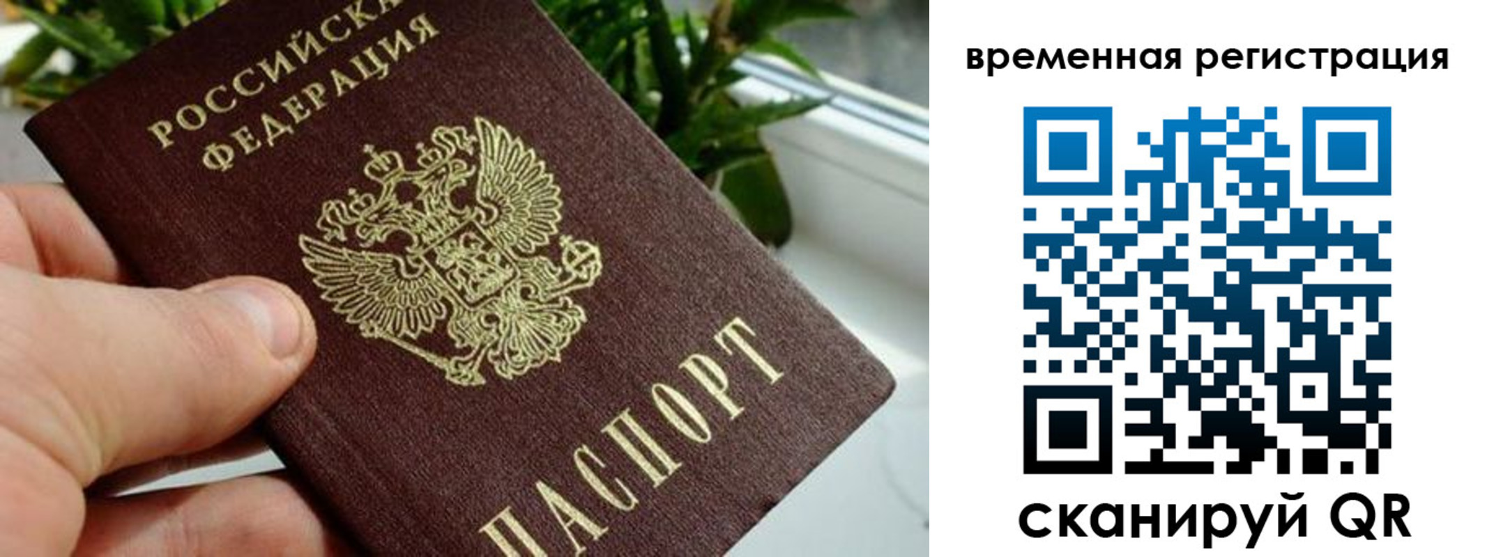 прописка поиск в Кудрово